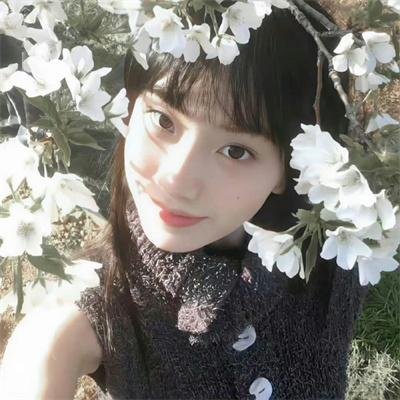 流血的青春